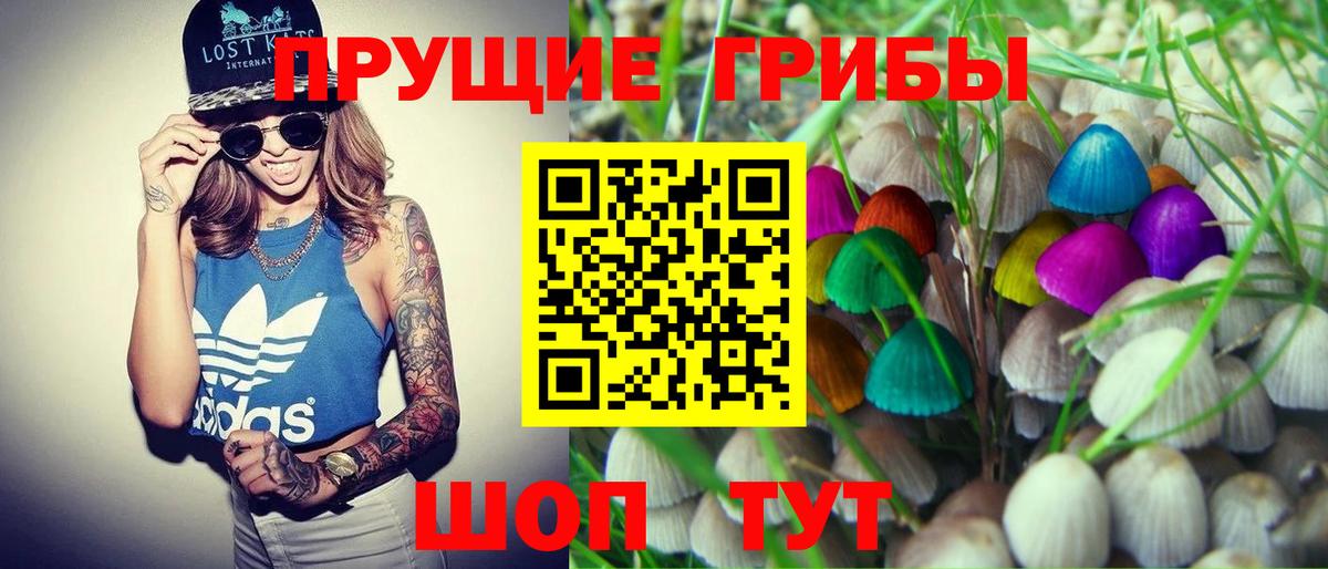 Галлюциногенные грибы мухоморы Владивосток