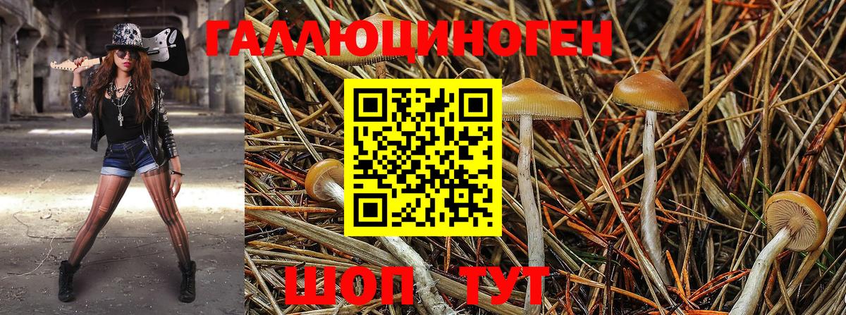 Галлюциногенные грибы мицелий  Владивосток  Псилоцибиновые грибы мухоморы 