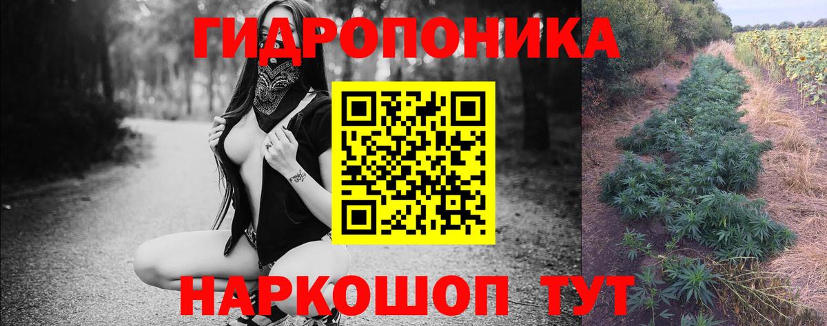 Марихуана AK-47  Канабис Ganja  Владивосток  Вход с VPN  Марихуана Bruce Banner  Шишки марихуана семена 